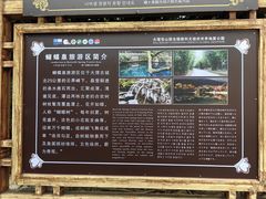 -蝴蝶泉公园