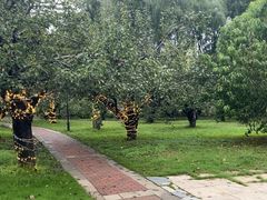 -祥源·阜阳生态乐园