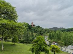 -东莞植物园