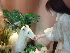 -桃园农庄烤全羊(江秋路店)