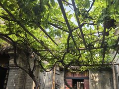 -康百万庄园