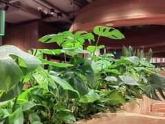 -云海肴汽锅鸡·云南小炒(曲江大悦城店)