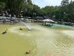 -紫马岭公园