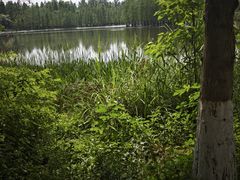 -白鹭湾湿地公园