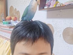 -挂甲禅寺