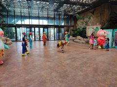 -杭州开元森泊度假乐园