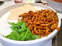 京酱肉丝-大鸭梨烤鸭(枣园店)