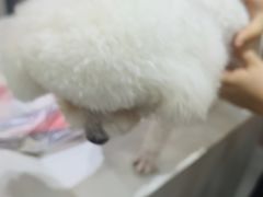 -派特宠物医院(圆融广场店)