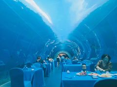 -海棠湾洲际-涛·海底餐厅·美人鱼·自助餐·海底隧道