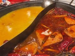 -朱光玉火锅馆(正弘城店)