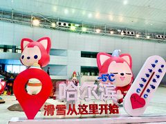 -哈尔滨热雪奇迹