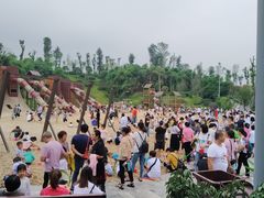 -枫香湖儿童公园