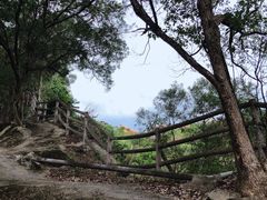 -金鸡山公园