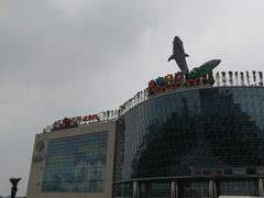 -成都浩海立方海洋公园