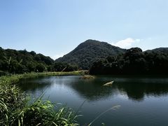 -广州市石门国家森林公园