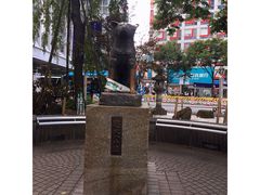 -涩谷全向十字路口