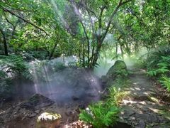 -深圳仙湖植物园