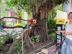 -灵玲国际马戏城