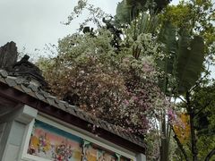 -深圳国际园林花卉博览园