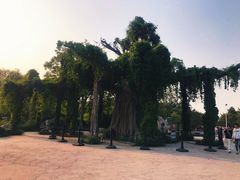 -石家庄市植物园
