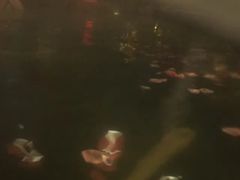 -西安国际创新人才交流中心•药浴温泉
