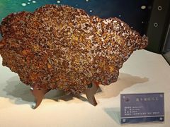 -中国地质博物馆