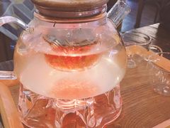 -吉丁鸟咖·异宠·寄养