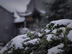 -句容茅山景区