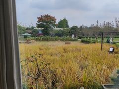 -洪湖家庭农场·团建·露营·会议