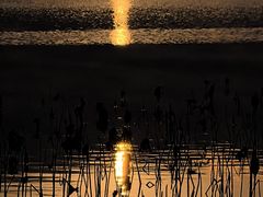 -西昌邛海宾馆