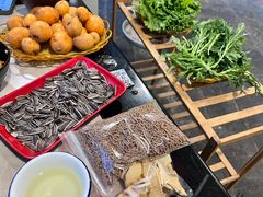 -蘑统田下·野生菌火锅