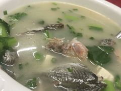 杂鱼汤-蛇口康乐快餐鱼仔档(翠苑小区店)