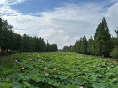 -昆承湖酒家·本帮农家菜