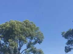 -梁鸿国家湿地公园