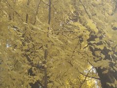 -星韩味石锅拌饭(万科·钻石广场店)