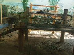 -西霞口神雕山野生动物世界