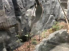 -武汉动物园