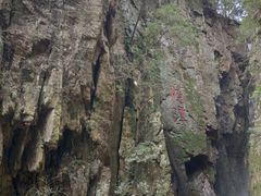 -溪口-滕头旅游景区