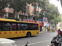 -双流老字号董蹄花(广场路店)