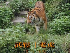 -杭州动物园