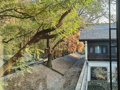 -杭州西湖柳莺里酒店·闻莺厅