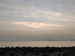 -深圳湾公园(南山区)