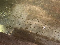 -溧阳天目湖天沐温泉