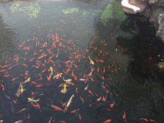 -水磨沟公园