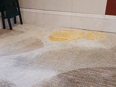-上海雅居乐万豪侯爵酒店