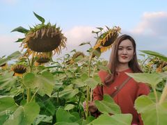 -映月湖中央公园