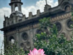 -古德寺