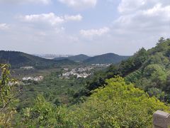 -树山生态村