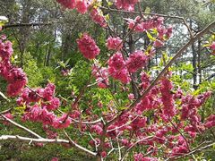 -花斑彩石景区
