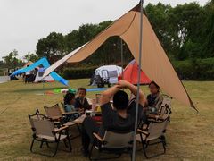 -春花秋色城市公园